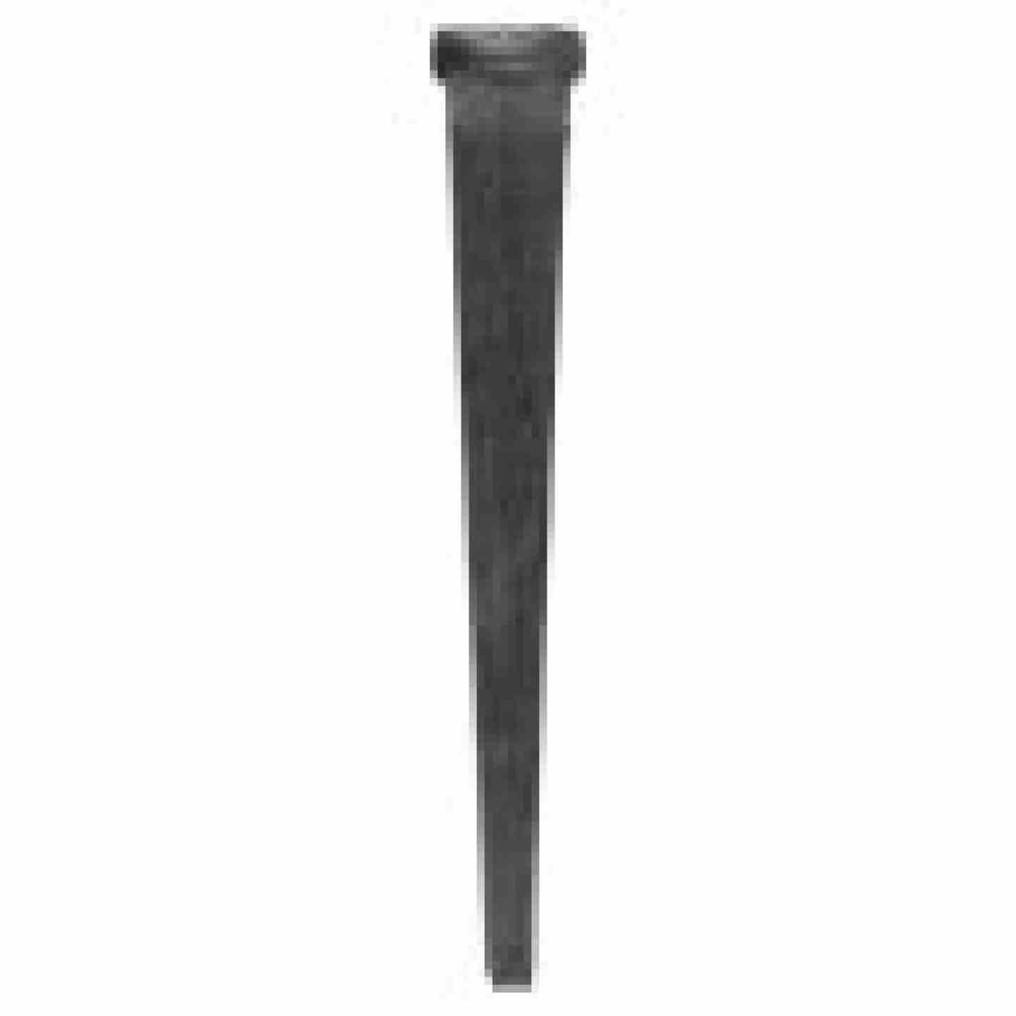 8D Hard Cut Masonry Nail 2-1/2" 50lb Box Image 2