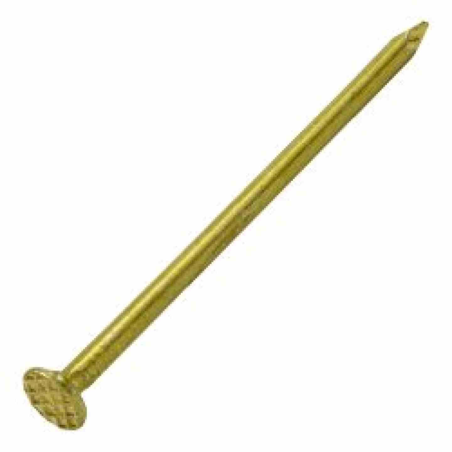 12D Coated Sinker Nail 3-1/8" 50lb Box Image 1