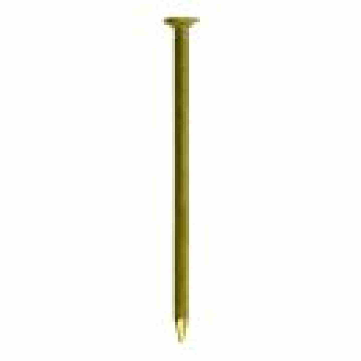 12D Coated Sinker Nail 3-1/8" 50lb Box Image 2